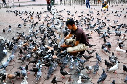 Malaysia's Highlight Journey