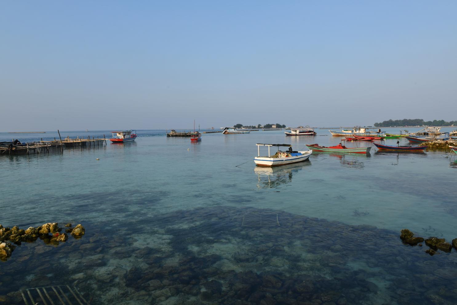 Turtle hatchery and coral planting