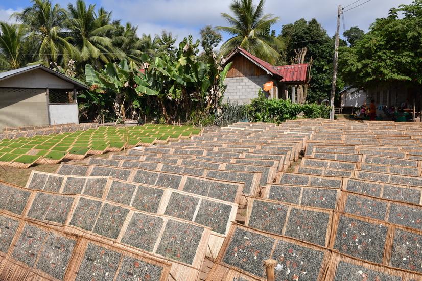 Life on the Mekong River